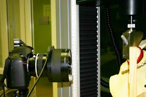 laboratorytesting.net