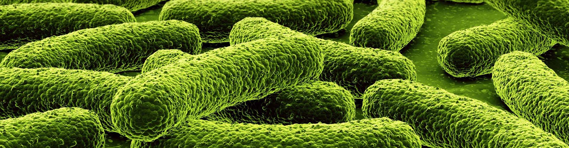 laboratorytesting.net