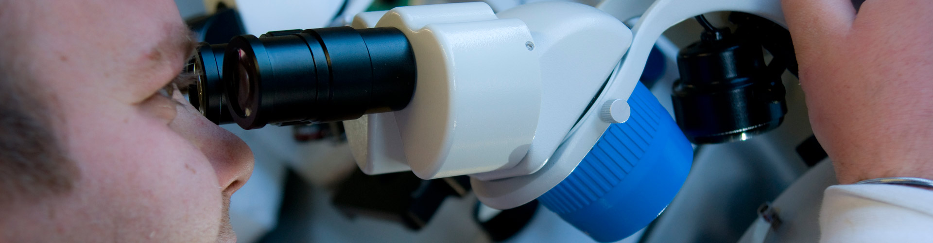 laboratorytesting.net