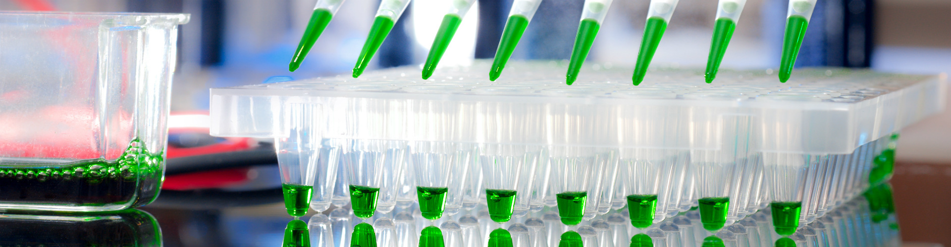 laboratorytesting.net