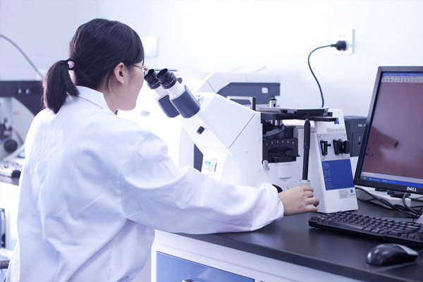 laboratorytesting.net